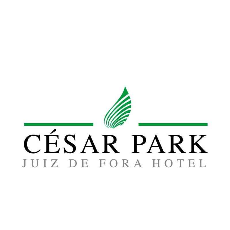 César Park Hotel